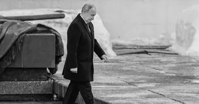 Картинка довгочиту