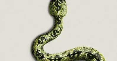 Картинка довгочиту