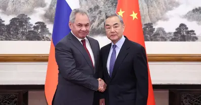 Картинка довгочиту