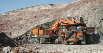 Картинка довгочиту