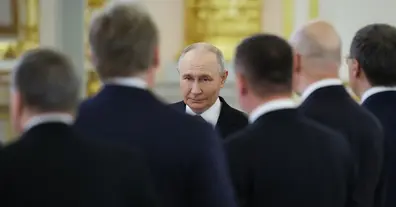Картинка довгочиту