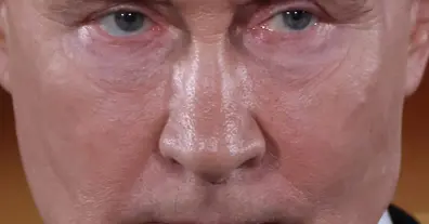 Картинка довгочиту