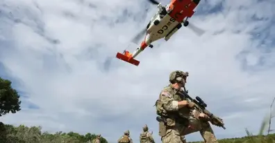 Картинка довгочиту