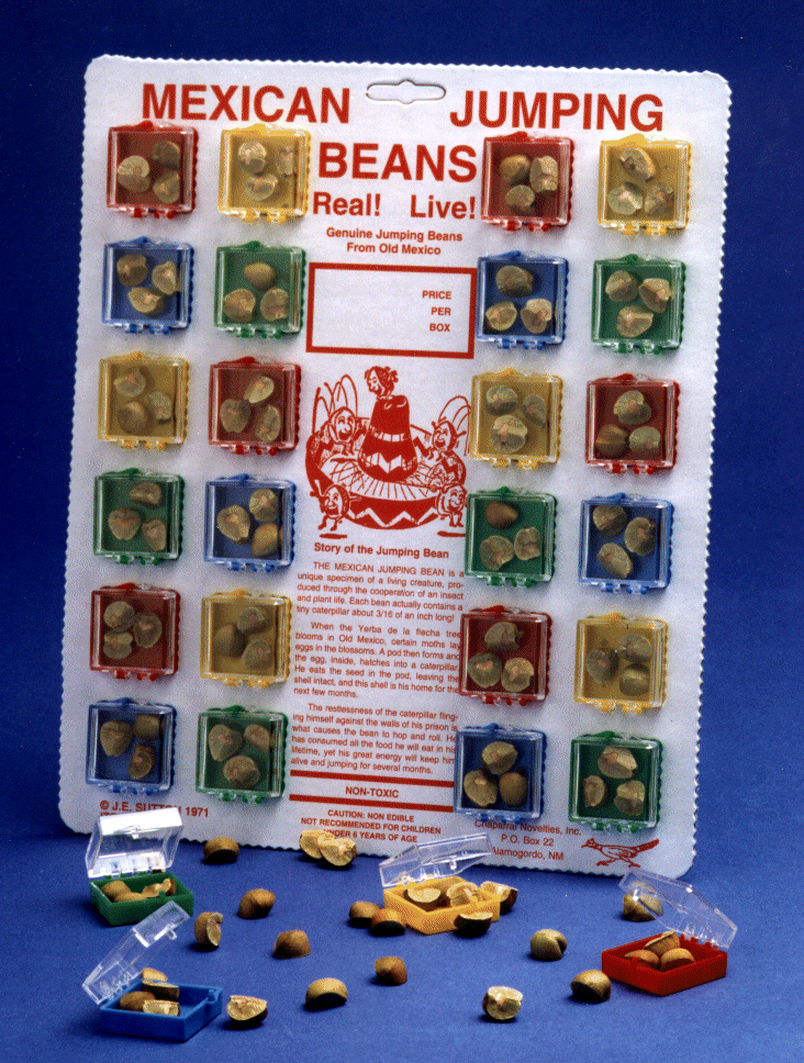 Chaparral Novelties, Live Mexican Jumping Beans from Mexico.