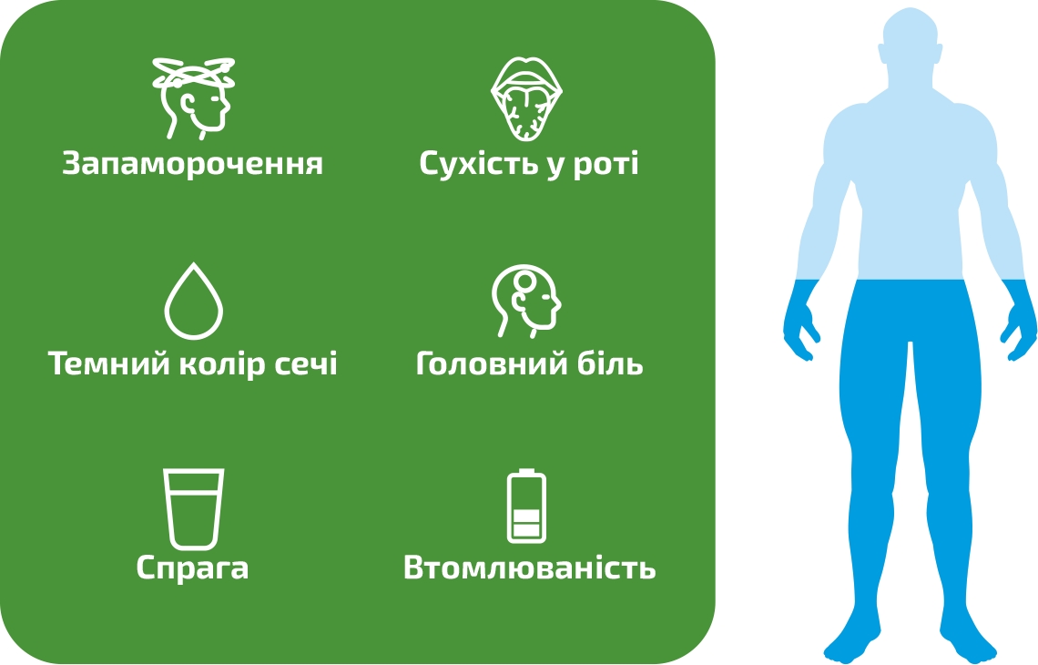 Як подолати похмілля та зневоднення, що його супроводжує? - ReO - Вода для  медичних цілей