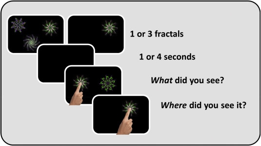 Vividness of visual imagery questionnaire scores and their relationship to  visual short-term memory performance - ScienceDirect