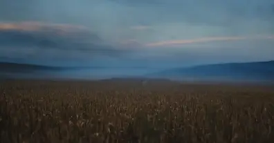 Картинка довгочиту