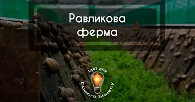Картинка довгочиту