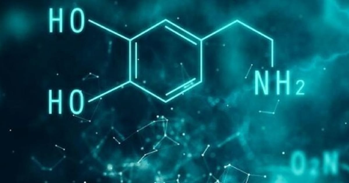 Про основні нейромедіатори - Олександр на we.ua