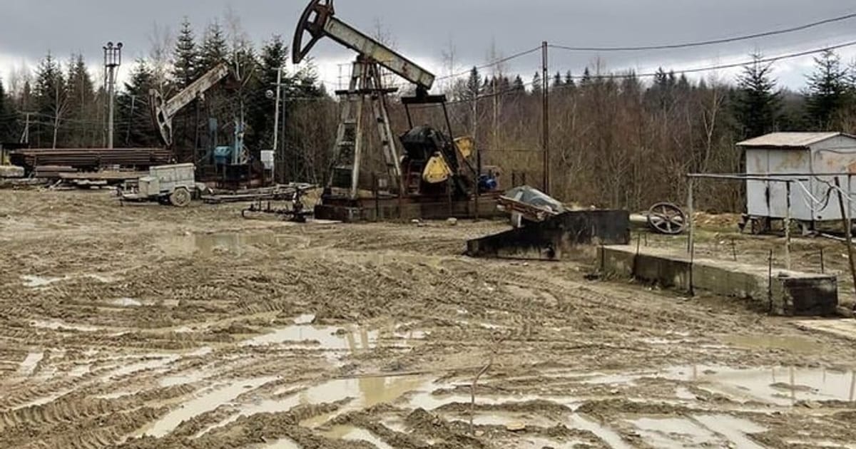 Вивільнення ресурсу: запорука економічного розвитку - Модель економіки на we.ua