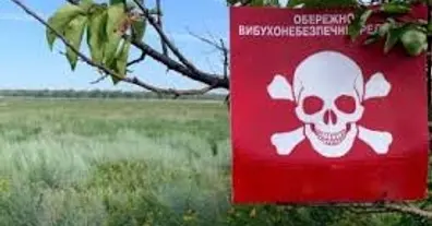 Картинка довгочиту