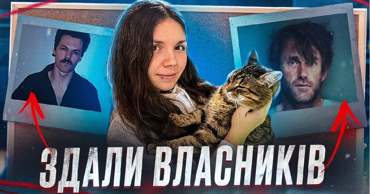 Ці коти кинули злочинців за ґрати: реальні кейси - Hanna Belovolchenko на we.ua