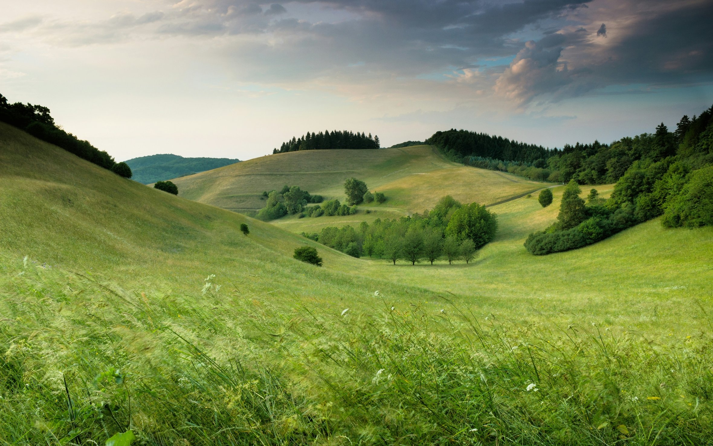 Посилання на оригінальне фото