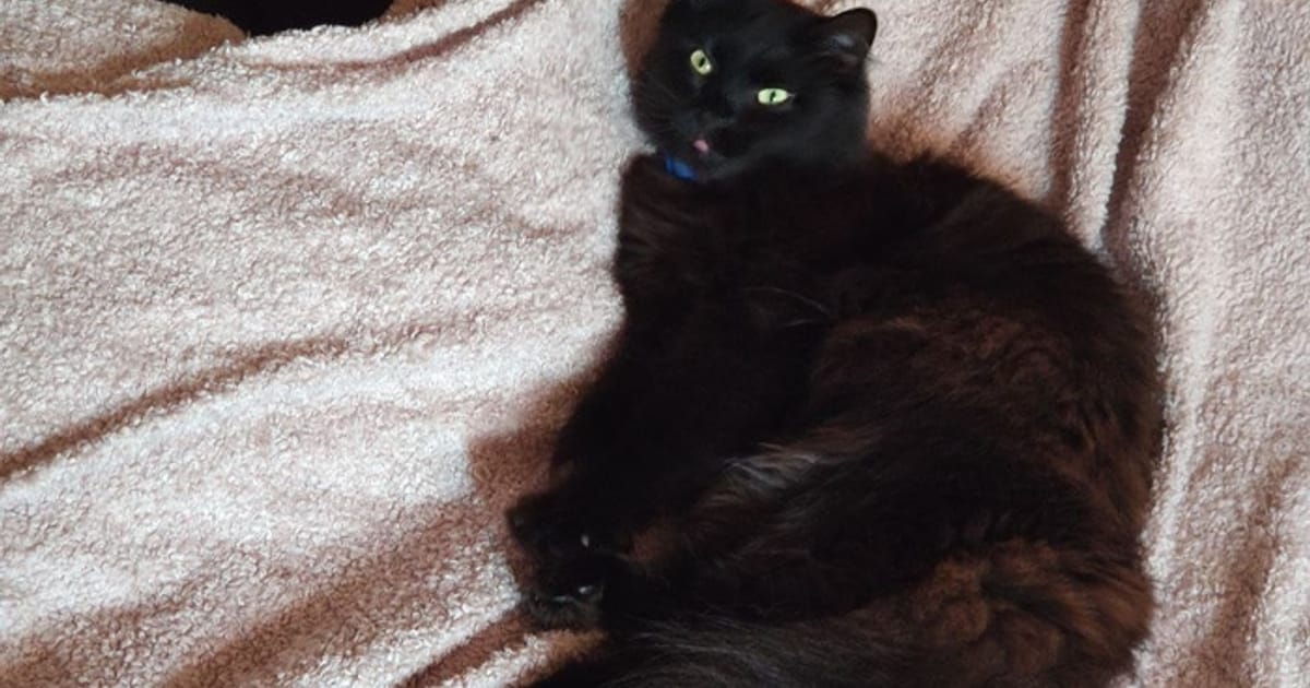 На всі сфери майстриня - неписьменниця на we.ua