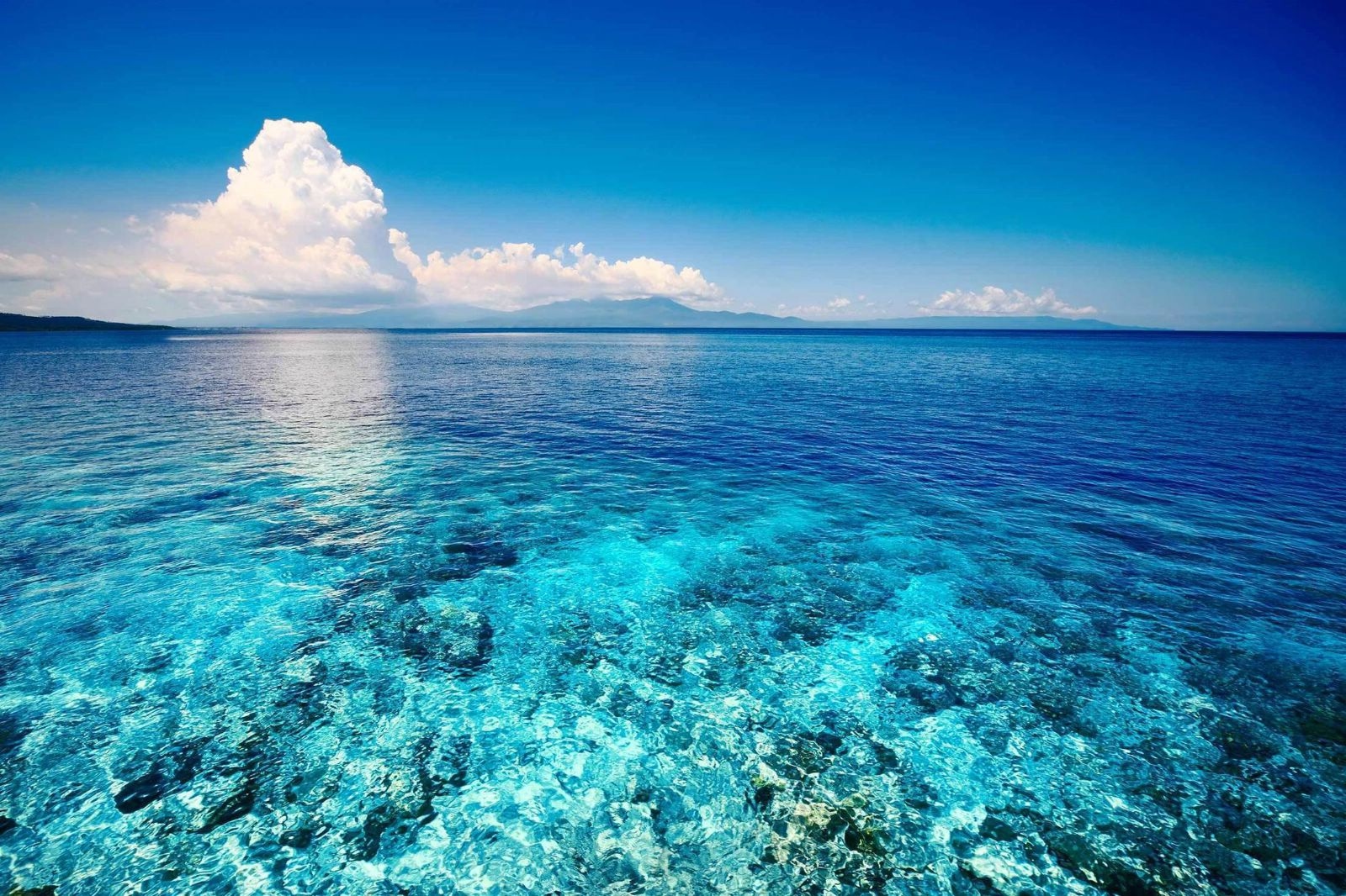 Ученые требуют признать Мировой океан живым существом