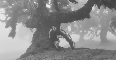 Картинка довгочиту