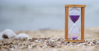 Картинка довгочиту