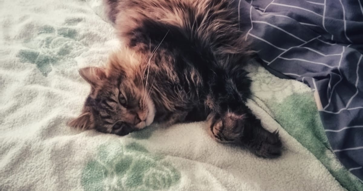 Як правильно спати? - Ostap Sokoliuk на we.ua