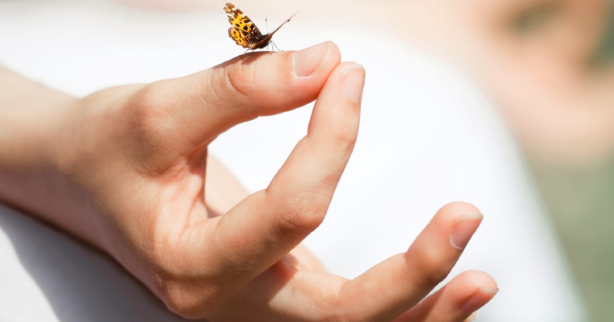 Медитація — як це робиться? - Ostap Sokoliuk на we.ua