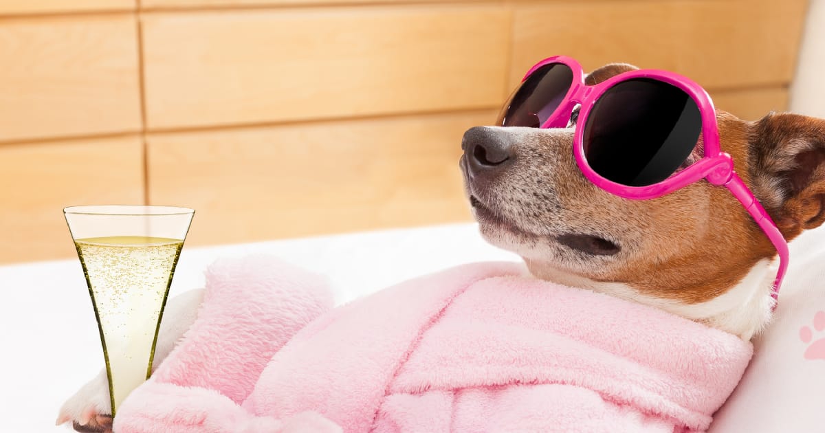 Щастя – це розслаблення - Ostap Sokoliuk на we.ua