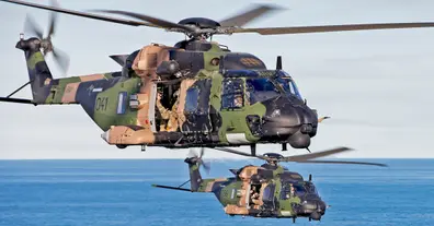 Картинка довгочиту