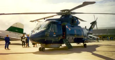 Картинка довгочиту