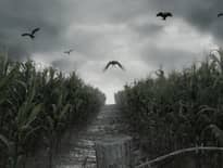 Картинка з посилання