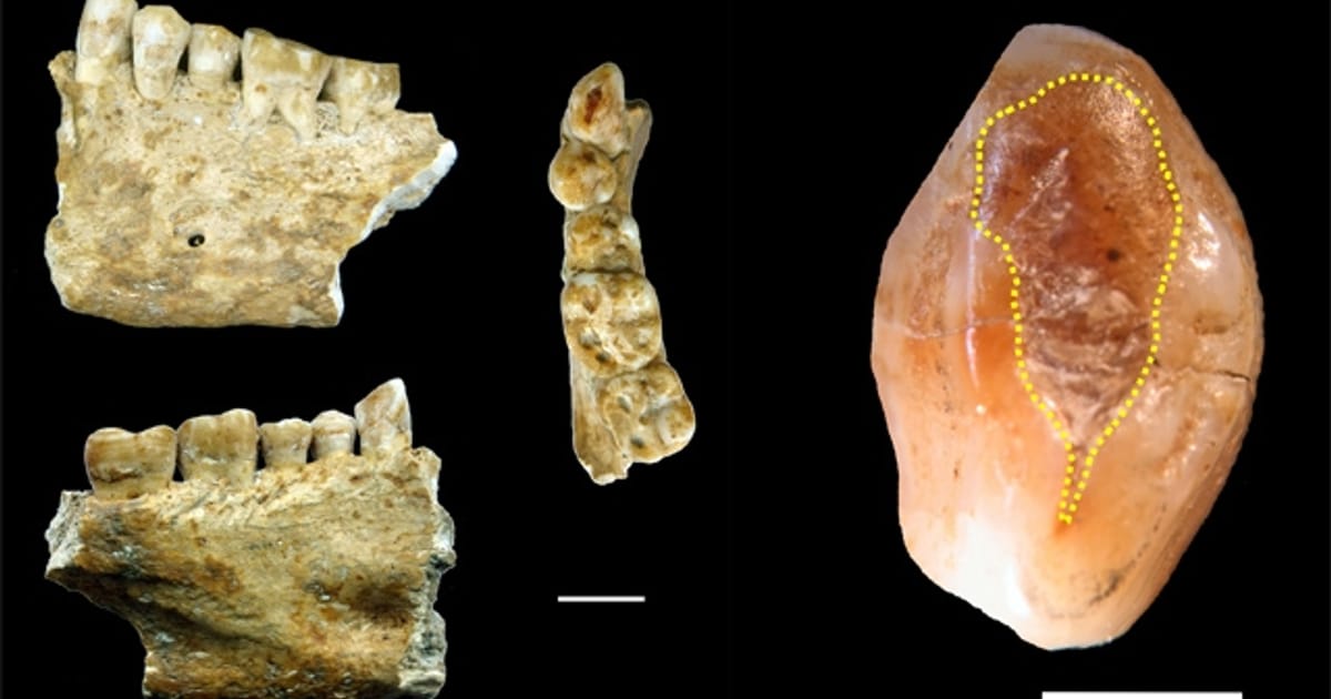 14 000 років тому давні люди також лікували зуби - Сергій Клемін на we.ua