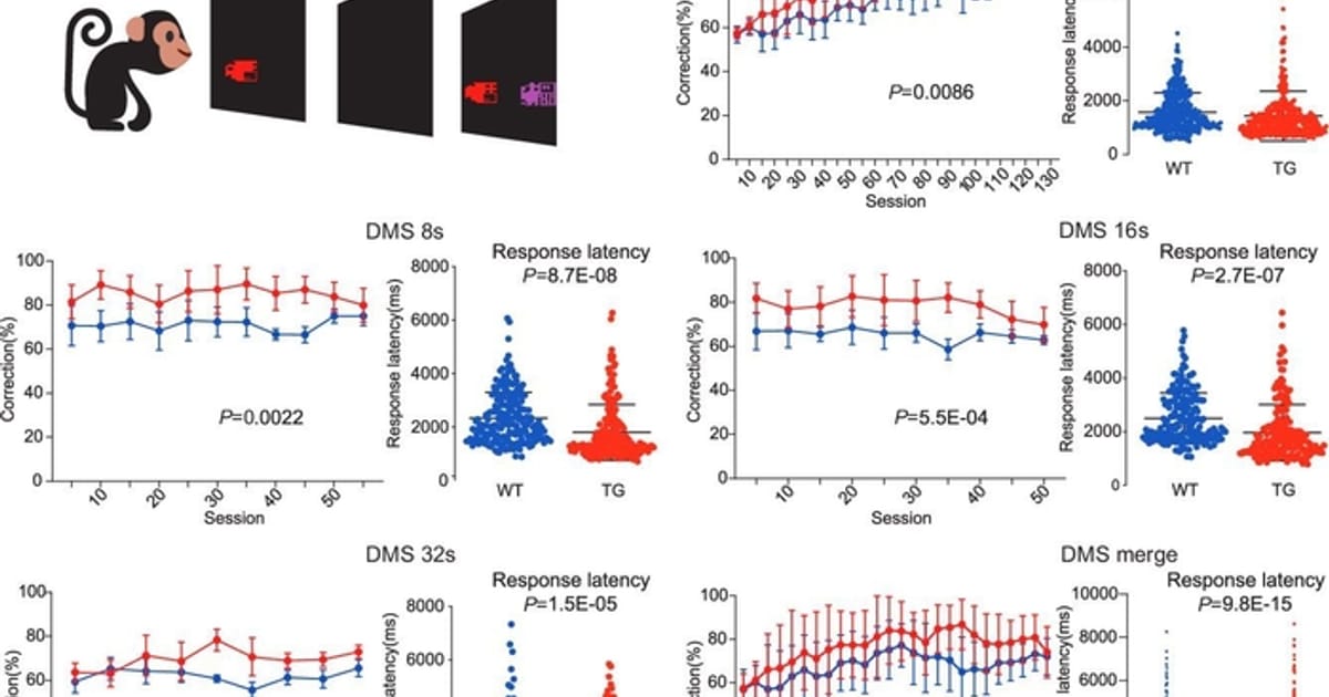 Що робить нас розумними людьми? - Сергій Клемін на we.ua