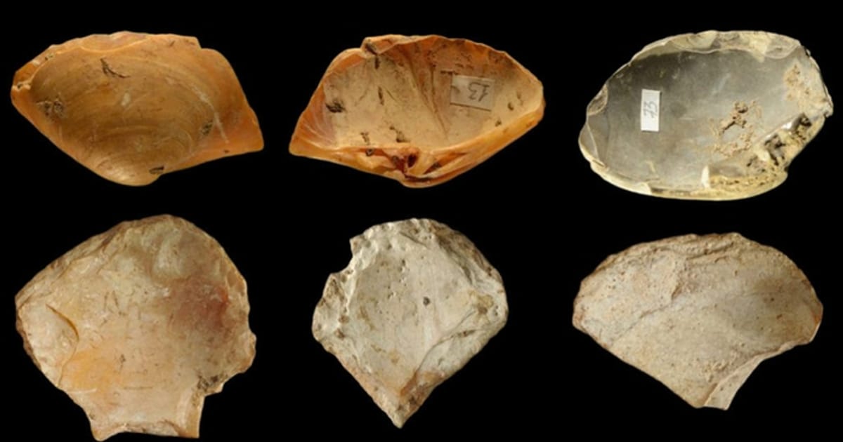 Не м’ясом єдиним, а й їжею рослинного походження - Сергій Клемін на we.ua