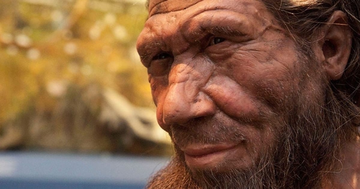 Погребальні ритуали неандертальців - Сергій Клемін на we.ua