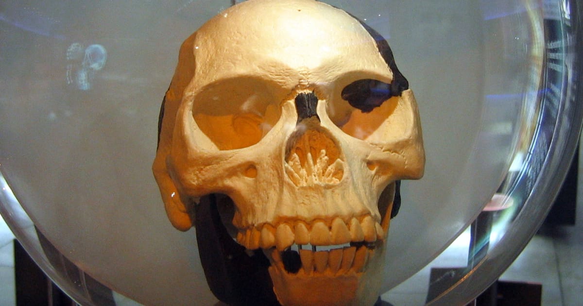 Сутінки людини світанку - Helgi на we.ua