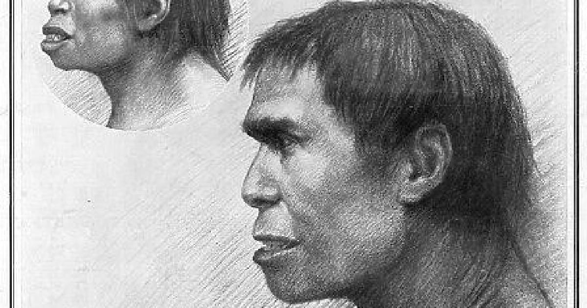 “Боротьба за Пілтдаун” - Helgi на we.ua