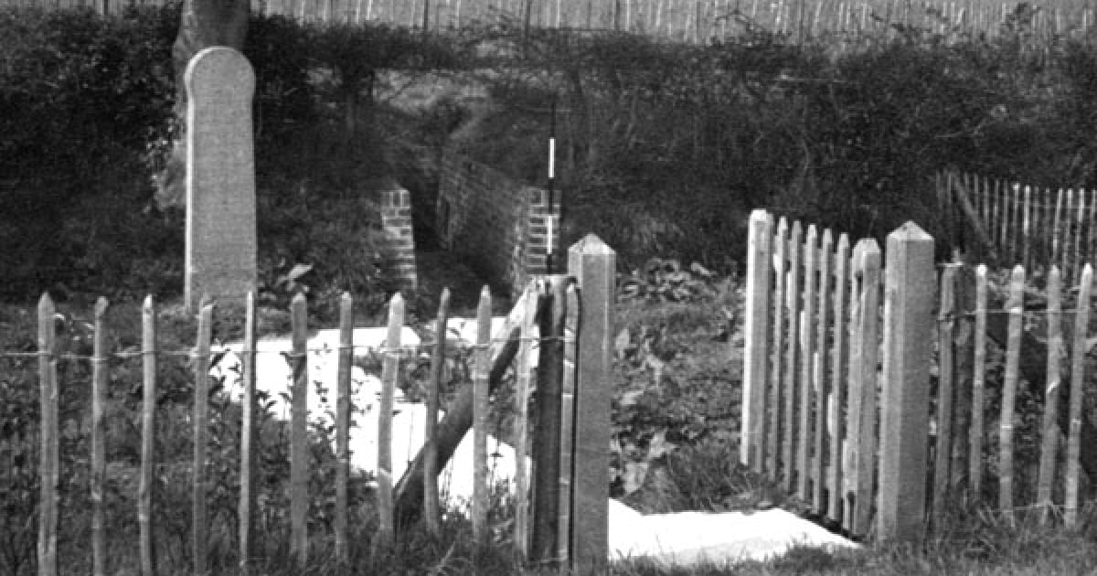 Еоантроп, темрява згущується - Helgi на we.ua