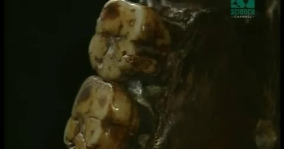 Людина світанку. Розслідування - Helgi на we.ua