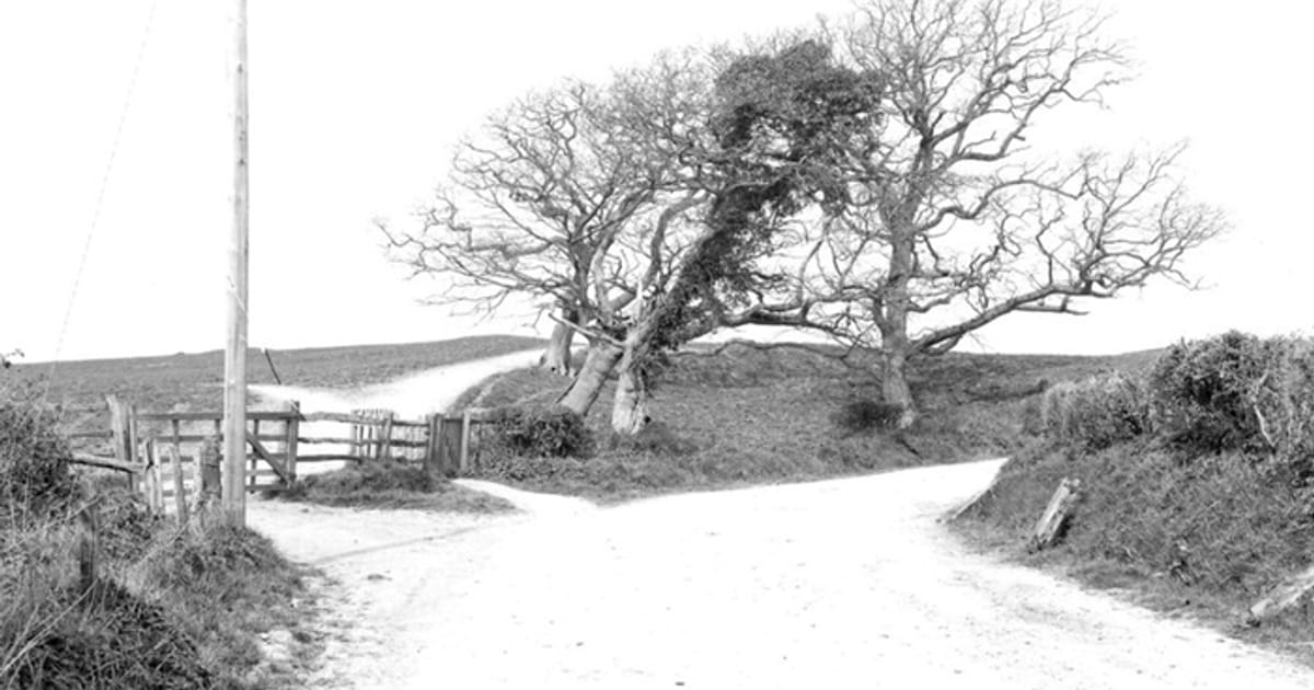 Еоантроп. Нові докази? - Helgi на we.ua