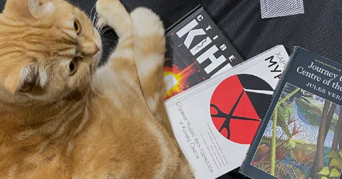 Особисті поради щодо довгої дороги (здебільшого про автобус) - Анастасія на we.ua