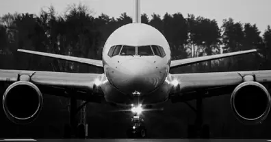 Картинка довгочиту