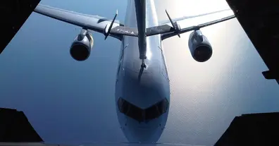 Картинка довгочиту