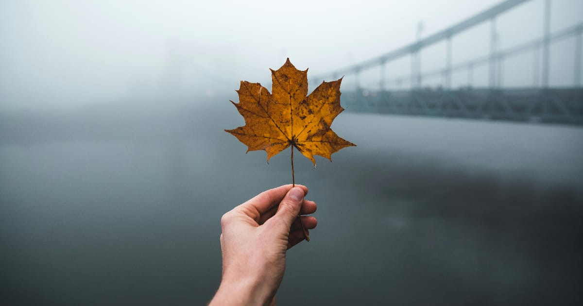 Любіть життя - Василь на we.ua