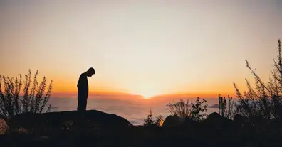 Картинка довгочиту