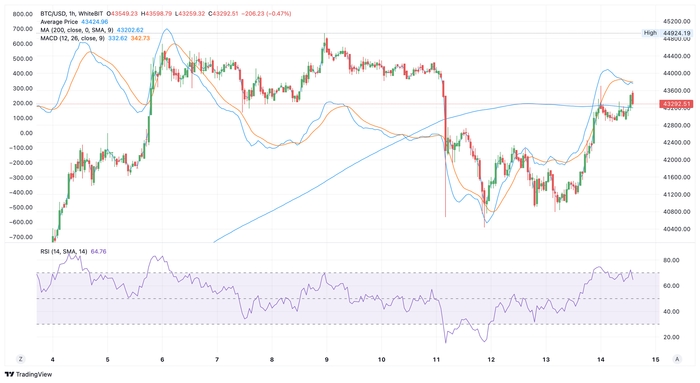 Графік BTC/USD за період з 4.12 по 14.12. Джерело: WhiteBIT Trading View