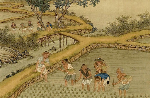 History of diet provides insight into Chinese agricultural civilization -  CSST