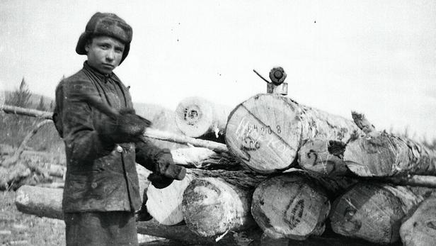 Цікавий факт, що лідер коміністичної Польщі, Войцех Ярузельський, був в’язнем ГУЛАГу. Загалом лісоповал був одним з найопишерніших промислів ГУЛАГу