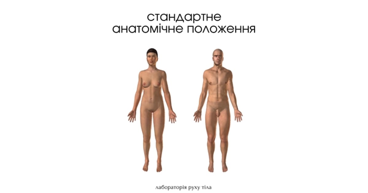 Стандартне анатомічне положення - Юлія Панкова on we.ua