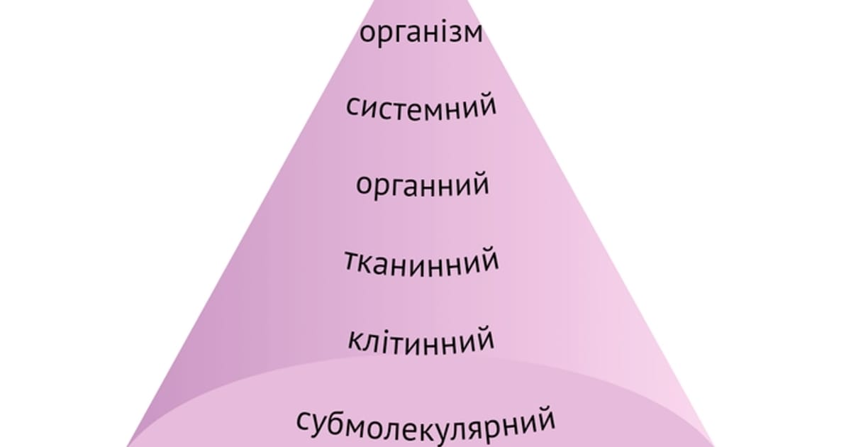 Рівні організації організму людини - Юлія Панкова on we.ua