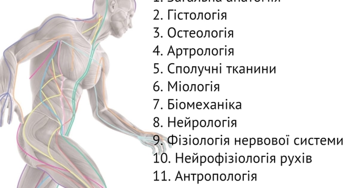 Початок - Юлія Панкова on we.ua