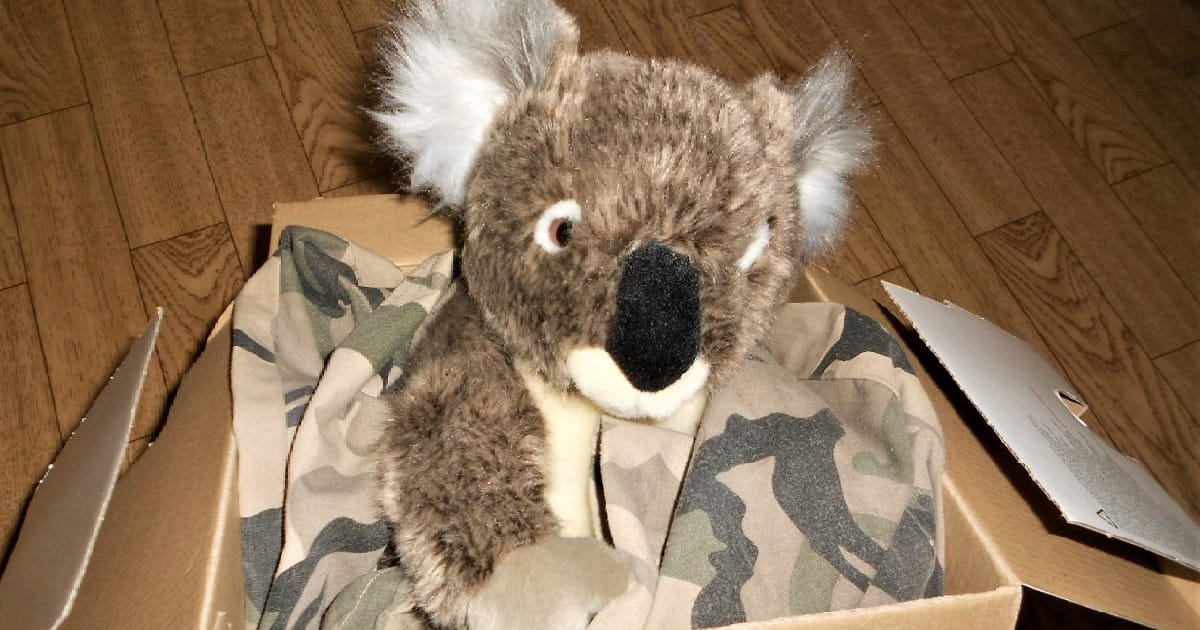 Казка про Михася, який приїхав до вояків АТО - Ольга Недавня на we.ua