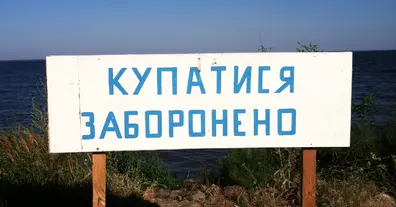 Картинка довгочиту