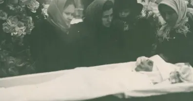 Картинка довгочиту